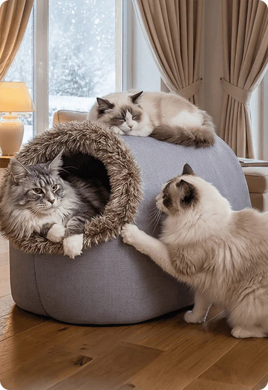 💥Hot sale 🐾Warm Pet Cave Bed