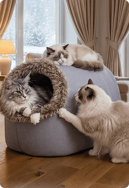 💥Hot sale 🐾Warm Pet Cave Bed