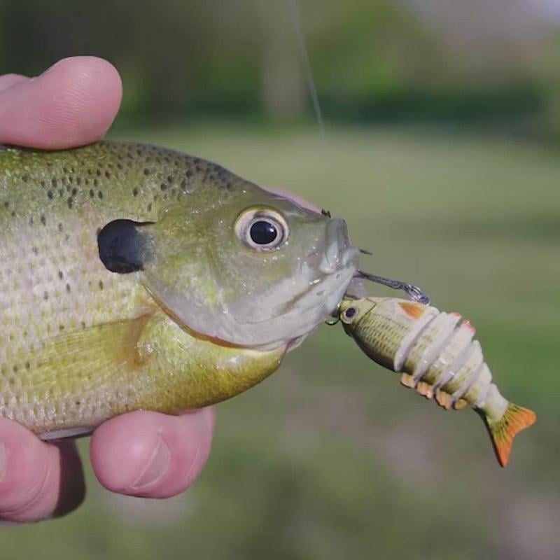 2'' Lifelike Fishing Lures for Freshwater and Saltwate