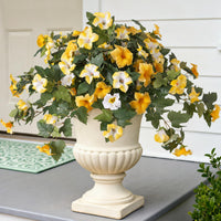 Yellow White(BUY 1 GET 1 FREE-2Set)