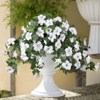 White(BUY 1 GET 1 FREE-2Set)