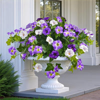 Purple White(BUY 1 GET 1 FREE-2Set)