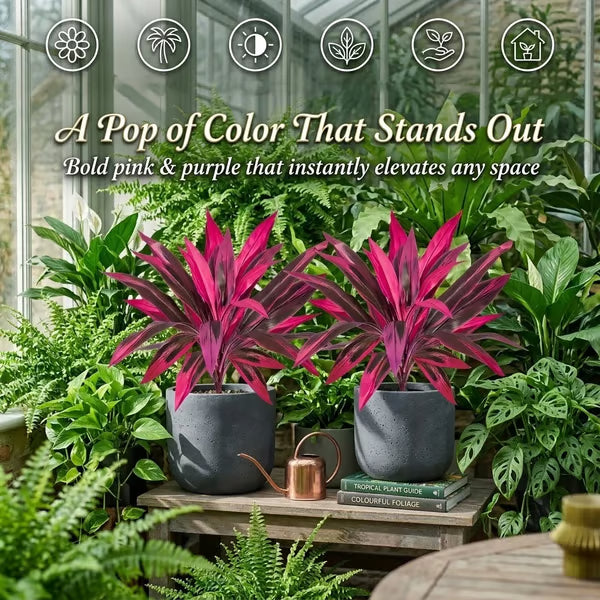 🔥LAST DAY 49% OFF - Artificial Boston Fern & Dragon's Blood Tree Plants