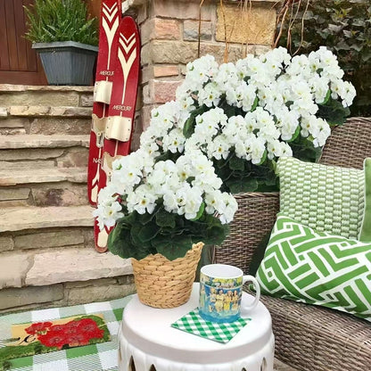 🔥LAST DAY 49% OFF - Artificial Geranium Flowers For Outdoors